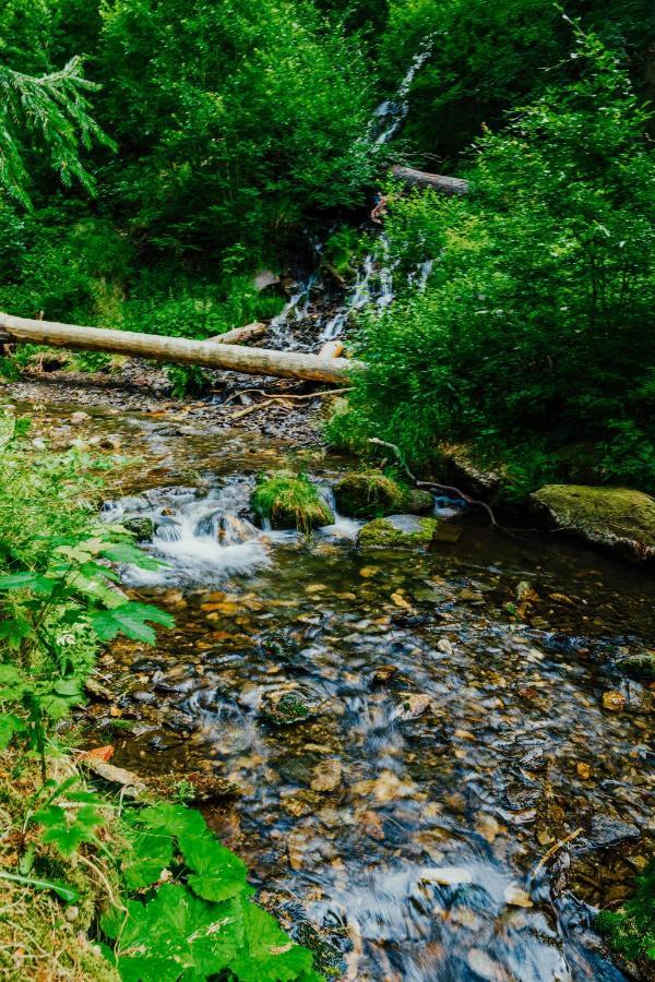 Apartman U Vlka - Hubertus, Karlova Studánka المظهر الخارجي الصورة