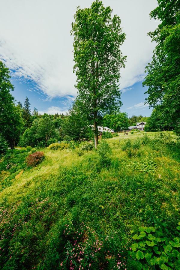 Apartman U Vlka - Hubertus, Karlova Studánka المظهر الخارجي الصورة